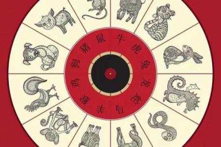 钻燧取火”指什么生肖 钻燧取火打一生肖答案