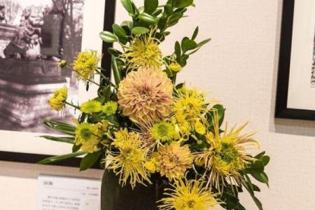 黄花女儿打一准确生肖 黄花闺女代表哪个生肖