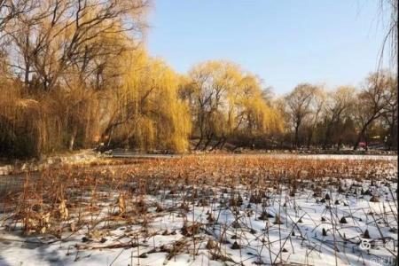 随意一瞥”打一个生肖动物 随意一瞥猜生肖动物谜底
