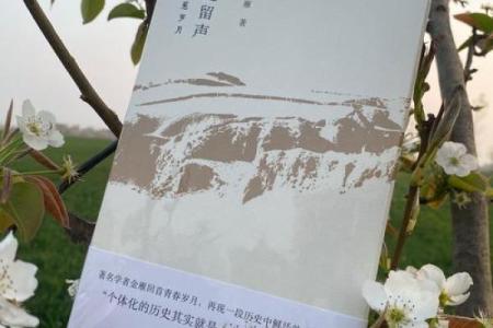 雁过留声”打一准确动物生肖 雁过留声代表什么动物生肖