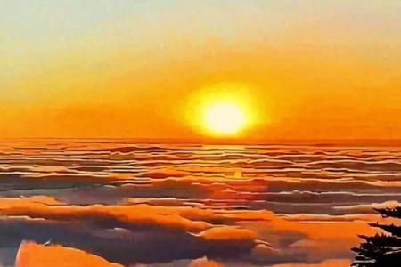 霞光万道”打一准确动物生肖 霞光万道指什么生肖动物