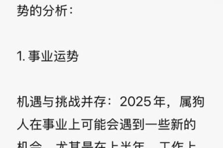 属狗的人2025年全年运势详解，财运事业健康感情完整解析