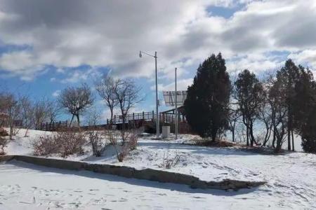 阴山背后是什么生肖 阴山背后生肖查询方法