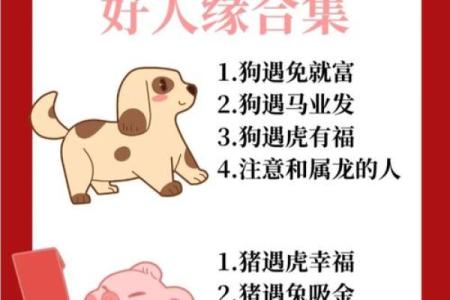 鸡犬相邻指的是什么生肖 鸡犬相邻打一生肖答案