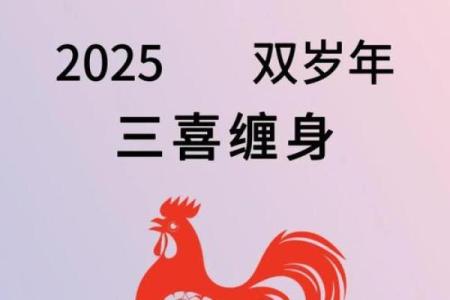 1993年属鸡的人在2024年的实际年龄计算方法和运势走向解析