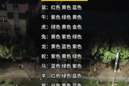 属鸡人2025年幸运色和忌讳颜色分别有哪些要注意