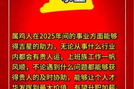 2025年属鸡人穿什么颜色的衣服能提升财运和事业运？