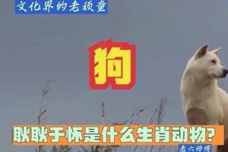 软硬不吃是什么生肖 软硬不吃指什么动物