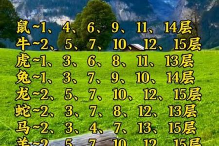 高楼大厦”是什么生肖动物 生肖动物高楼大厦寓意