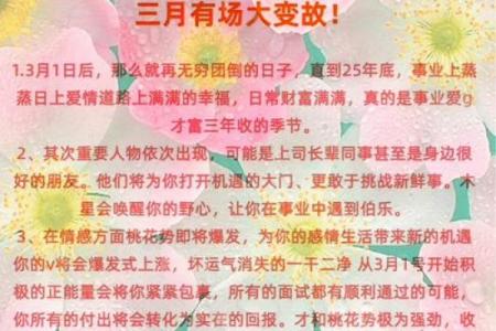 2025年属狗人财运和事业运详解，需要注意哪些方面？