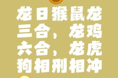 龙争虎斗正确生肖 龙争虎斗打一生肖答案