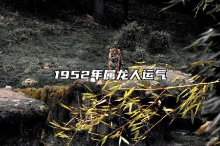 阴阳颠倒打一动物 阴阳颠倒代表什么生肖