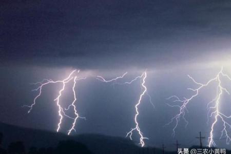 雷声大作是什么生肖 打雷代表什么生肖动物