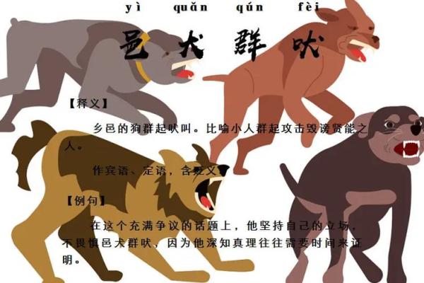 邑犬群吠打一动物 邑犬群吠成语对应动物 邑犬群吠打一动物 邑犬群吠成语对应动物